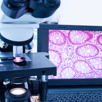 光学顕微鏡のイメージ